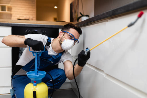 Best Pest Control for Homes  in Frankfort Square, IL