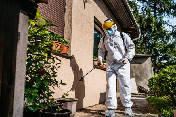 Best Pest Prevention Services  in Frankfort Square, IL