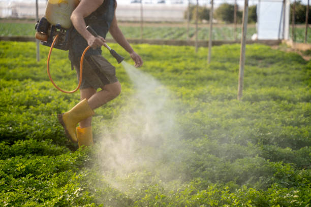 Best Pest Inspection Near Me  in Frankfort Square, IL