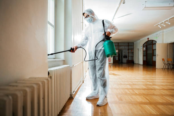 Best Bed Bug Extermination  in Frankfort Square, IL