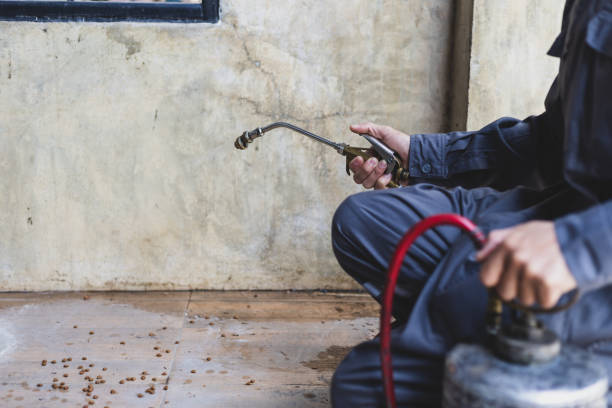 Best Residential Pest Control  in Frankfort Square, IL