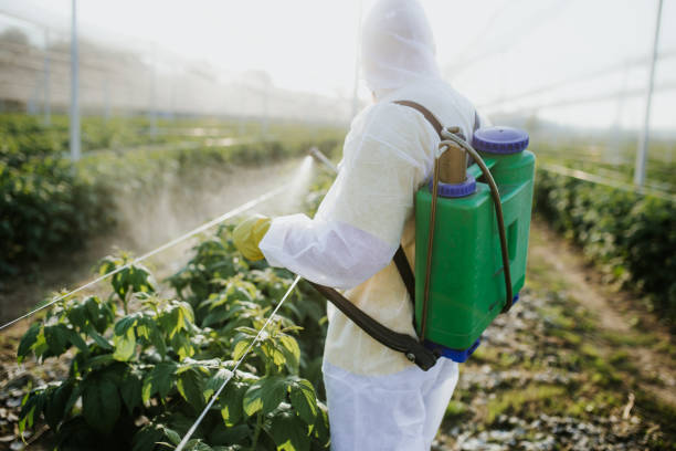 Best Pest Control Near Me  in Frankfort Square, IL